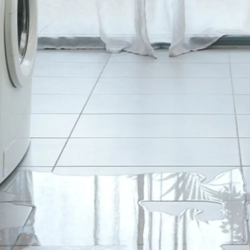 Appliance Leak Cleanup in East Lexington, VA