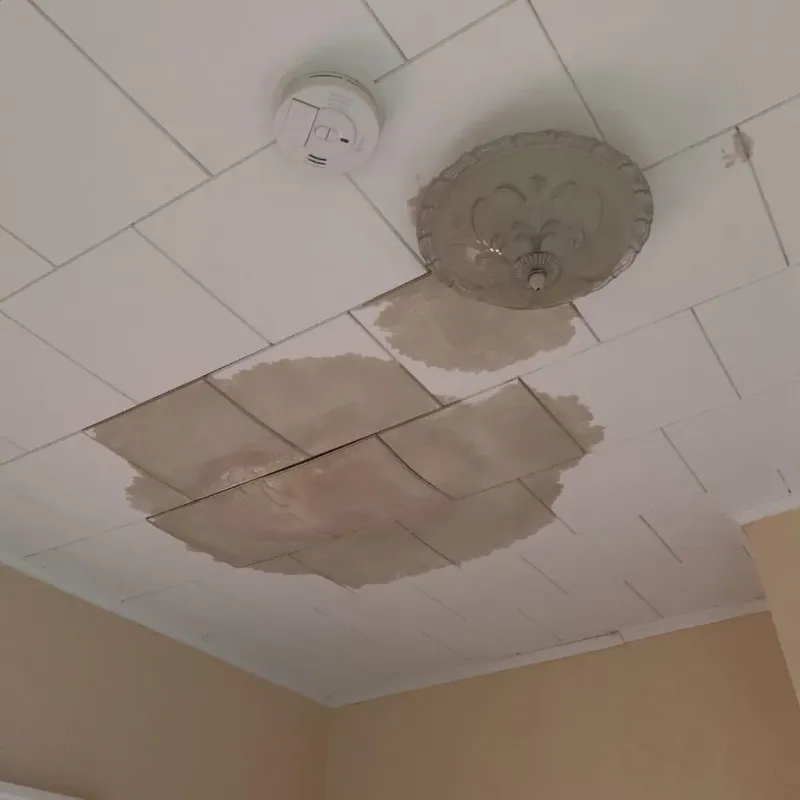 Ceiling Water Damage Repair in East Lexington, VA