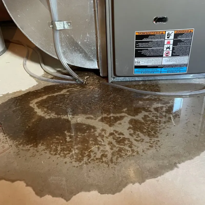 Pipe Burst and Leak Restoration in East Lexington, VA