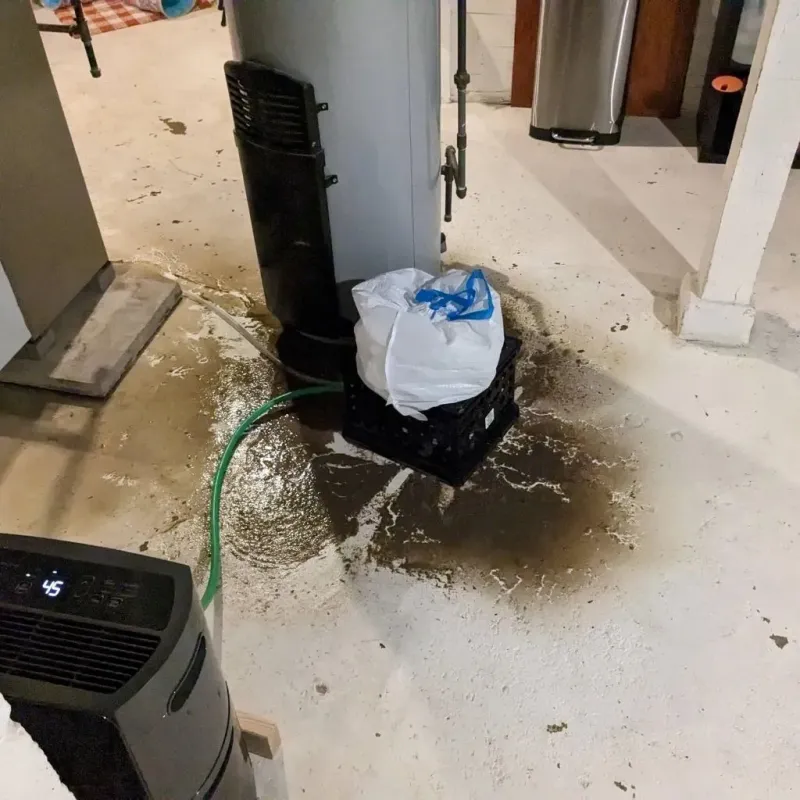 Sewage Backup Cleanup Service in East Lexington, VA